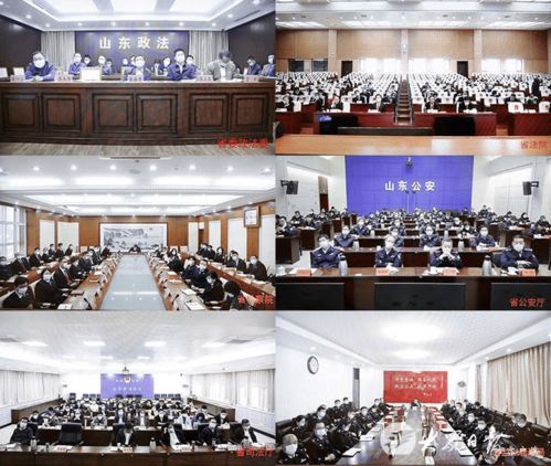 第二批政法隊(duì)伍教育整頓工作推進(jìn)會(huì)召開(kāi)