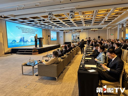 共話合作與發(fā)展 2025陸海新通道國際合作論壇暨中新金融峰會在新加坡啟動